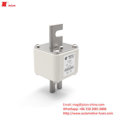 RSZ307 200A-450A DC250V فيوز السيارة الكهربائية