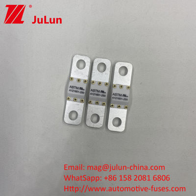 A121601-100A ASTM السيارات الكهربائية معدات الطاقة الجديدة بطارية واحد فيوز للسيارة