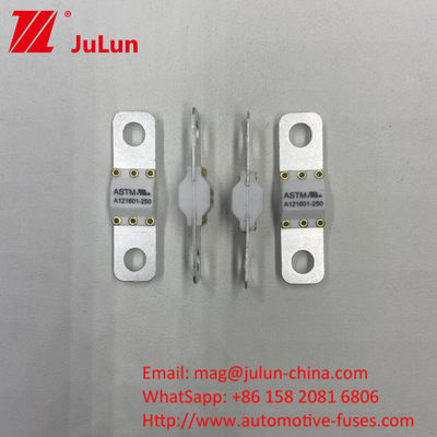 A121601-100A 3KA 6KA 8KA كسر شحن المركبات الكهربائية فيوز السيارات