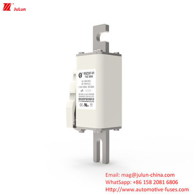 200A DC1000V فيوز الجهد العالي للمعدات الكهربائية مشبك على فيوز لحماية النطاق الجزئي