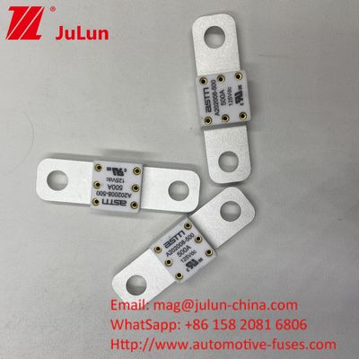 125VDC 200A ANM AMM AEGA ANL CNN CNL فيوز بطارية السيارة للسيارات